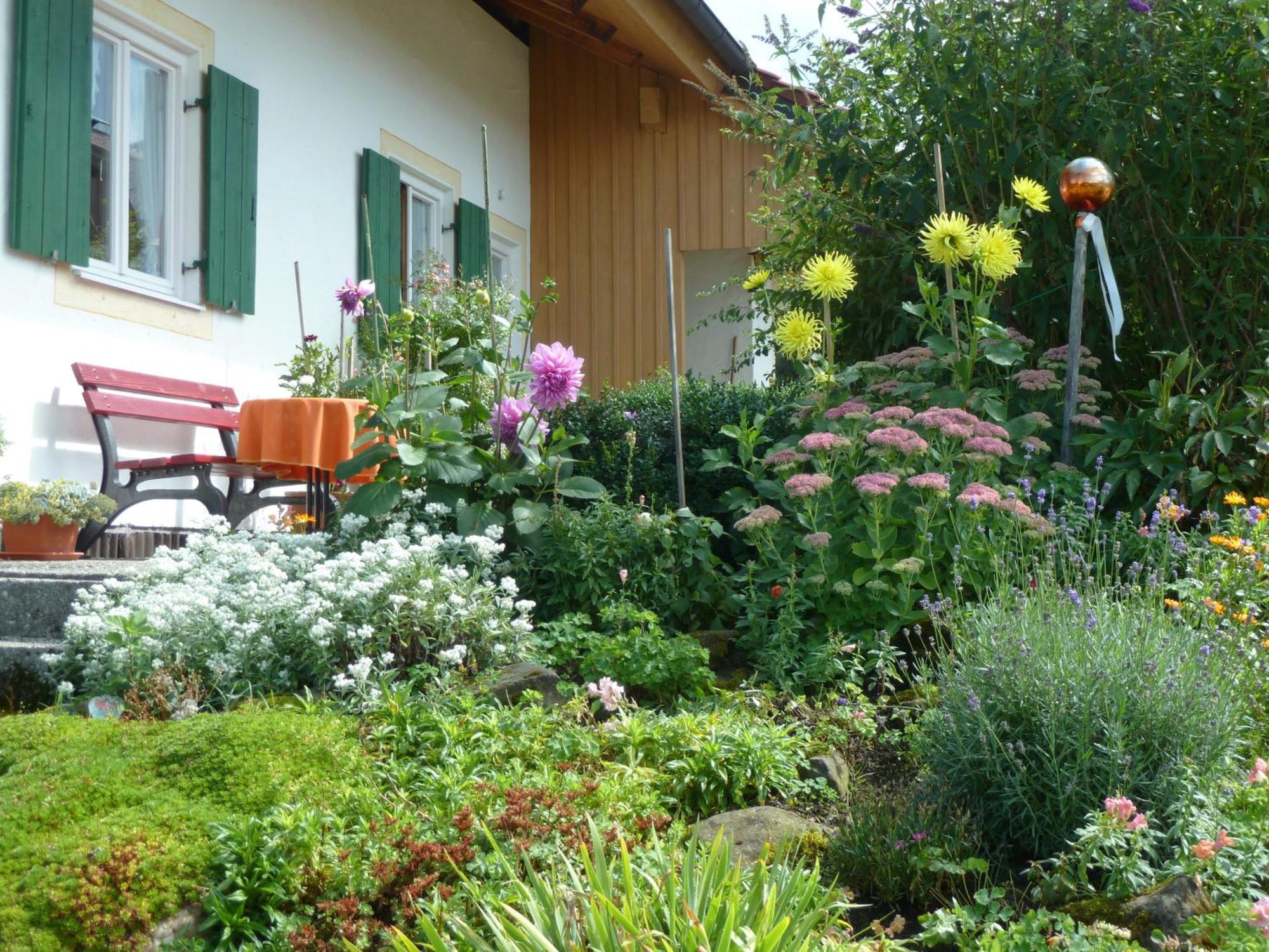 Ferienwohnung Panorama Bad Kohlgrub Exterior foto